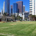 LAPD Lawn