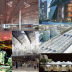 Union Station Master Plan Collage