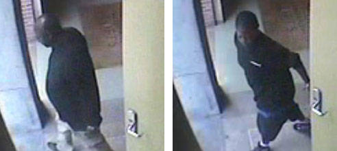 Biscuit Company Burglars