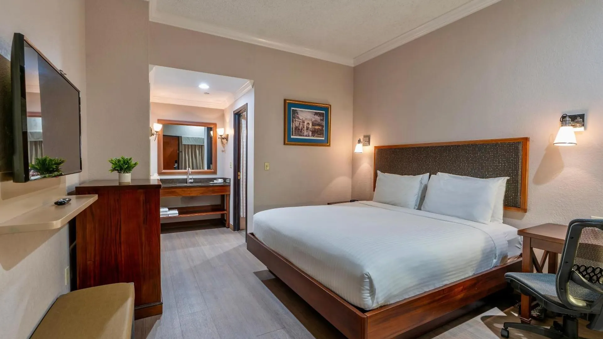 Where to Stay in Downtown New Orleans: 7 Best Boutique Hotels