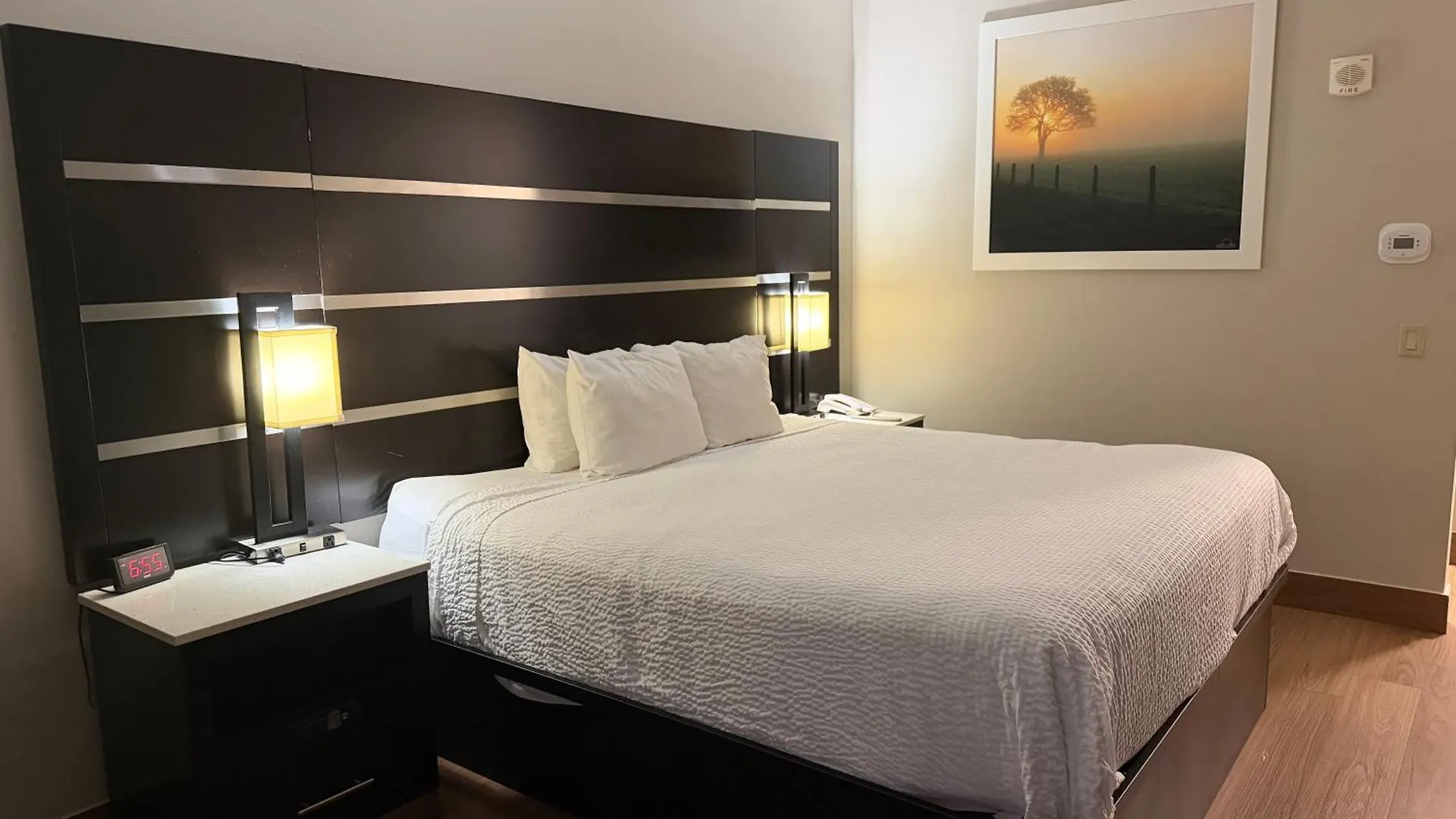 11 Budget Hotels in North Jersey Worth Every Dollar