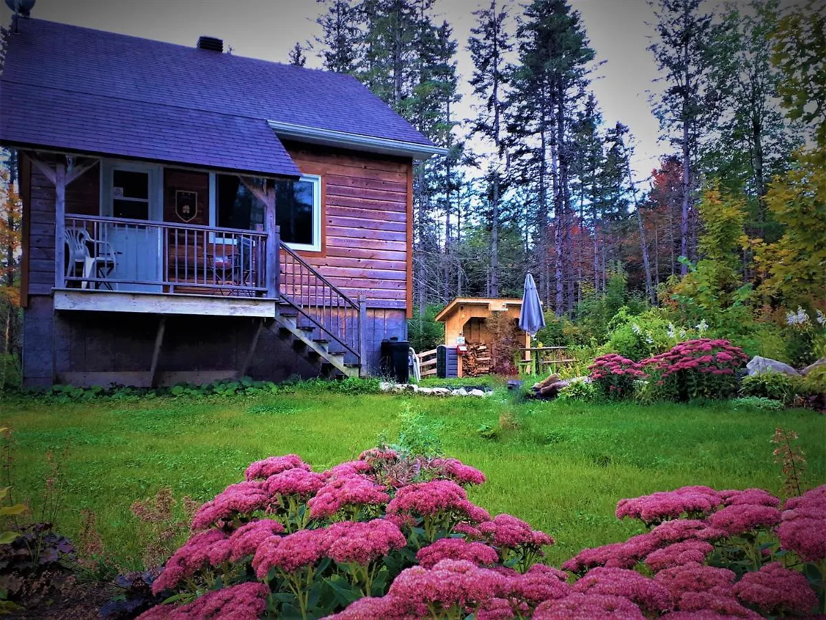 5 Smart B&Bs and Apartments in Quebec Worth Booking