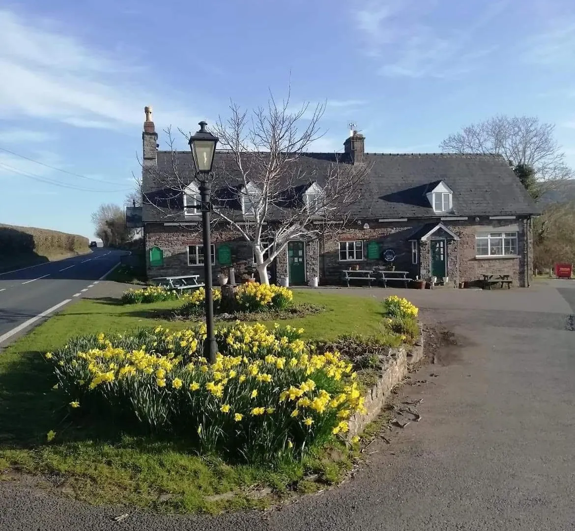 5 Budget Hotels in Powys That Don't Cut Corners