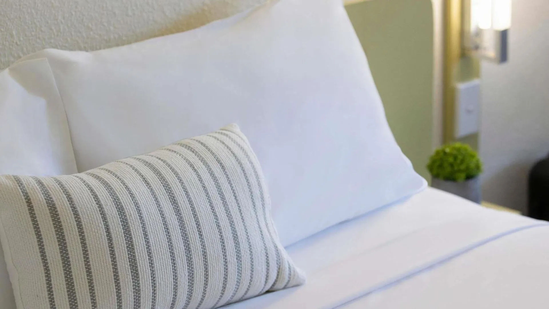 7 Family-Friendly Hotels in Hunter Valley Worth Booking