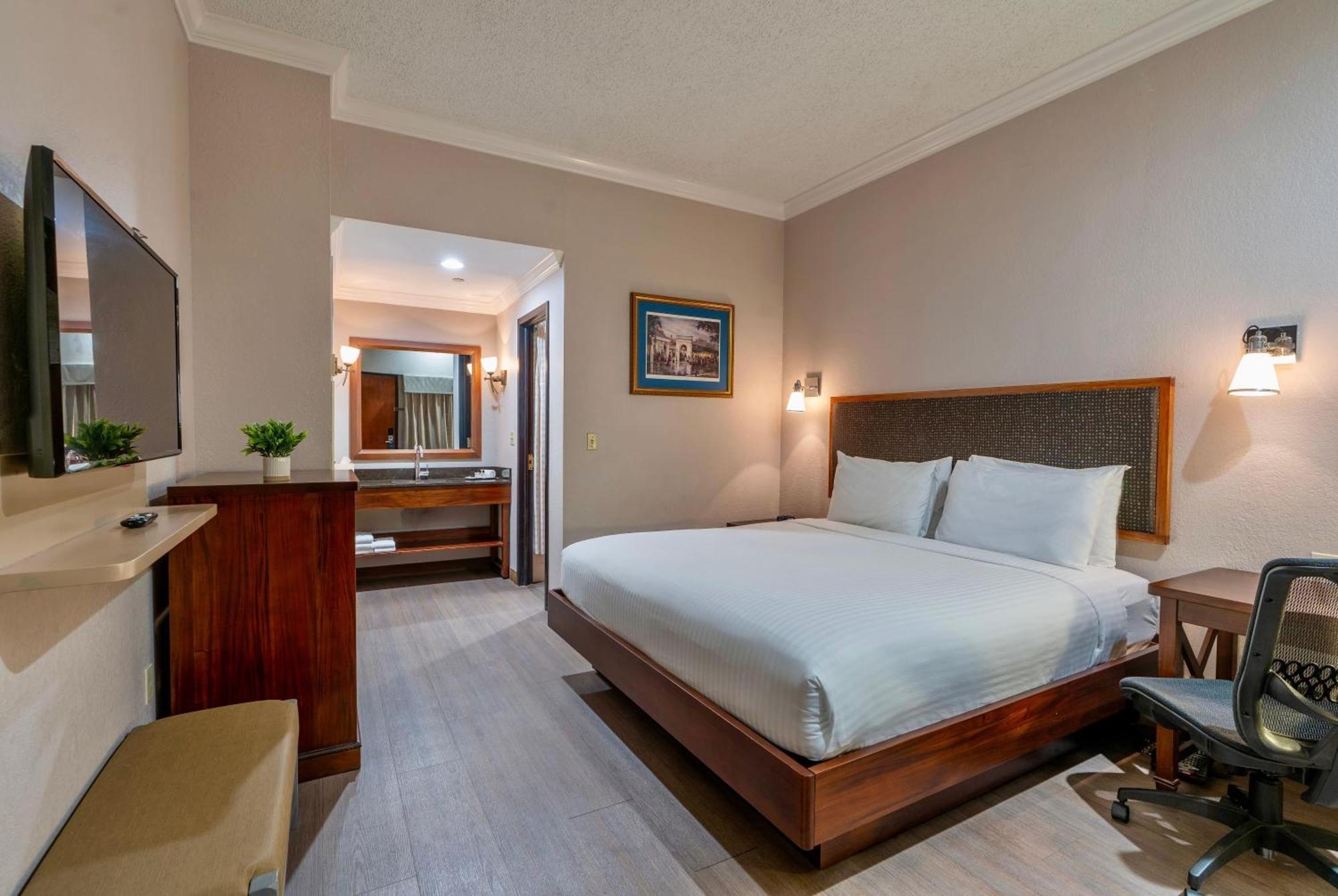 Where to Stay in Downtown New Orleans: 7 Best Boutique Hotels