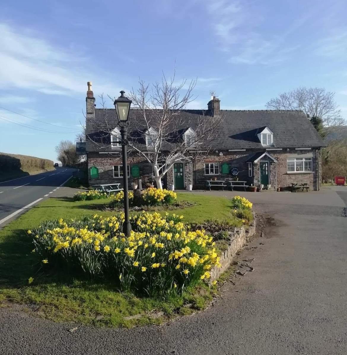 5 Budget Hotels in Powys That Don't Cut Corners